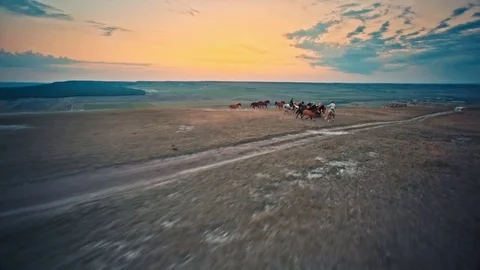 Running on the prairie horse Stock-Footage 83549180
