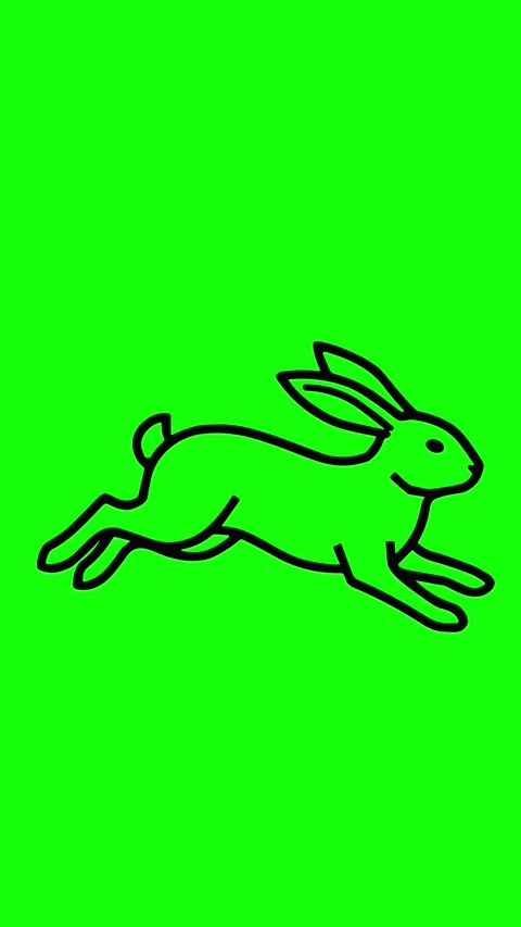 Running rabbit animation on green screen background Video stock 334773264