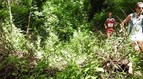 Running Race in the Woods Stockbeeldmateriaal 50418343