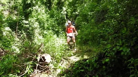 Running Race in the Woods Stockbeeldmateriaal 50418399