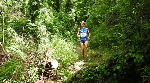 Running Race in the Woods Stockbeeldmateriaal 50418424