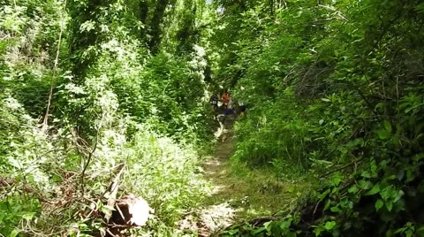 Running Race in the Woods, Men fall Stockbeeldmateriaal 50418394