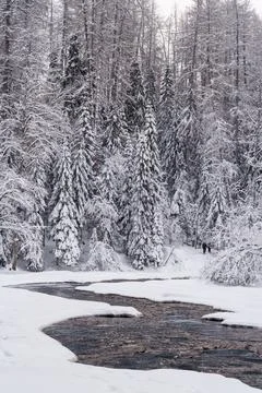 Running raging river with melted mountain water washing icy shores of snowy Stock Photos
