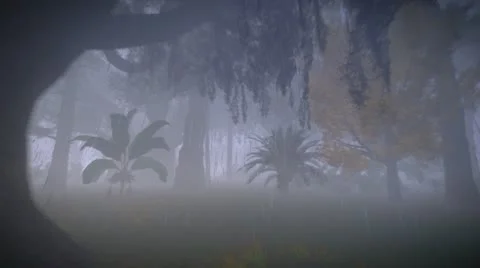 Running in the rain forest Stock Footage 11967766