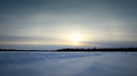 Running Reindeers 1 Stock Footage 35365714