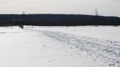 Running Reindeers 13 Video stock 36147648