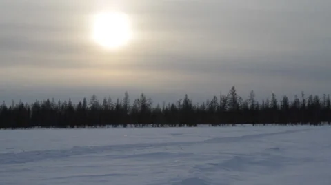 Running Reindeers 15 Stock Footage 36147542