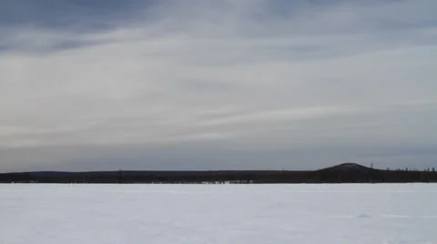 Running Reindeers 19 Stock Footage 35367255