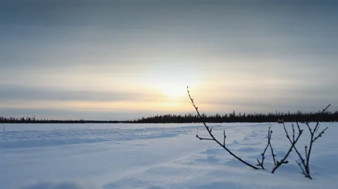 Running Reindeers 2 Video stock 36146260