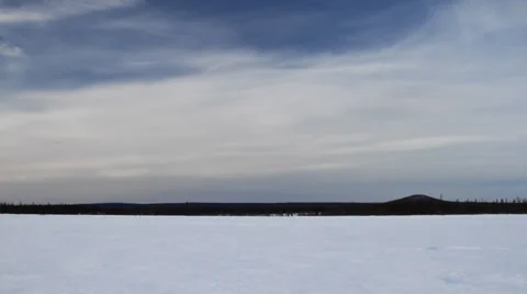 Running Reindeers 20 Video stock 35367246