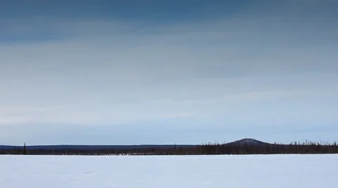 Running Reindeers 4 Video stock 35365991