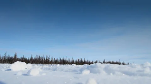 Running Reindeers 5 Video stock 35366015