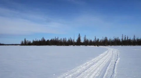 Running Reindeers 7 스톡 동영상 35366583