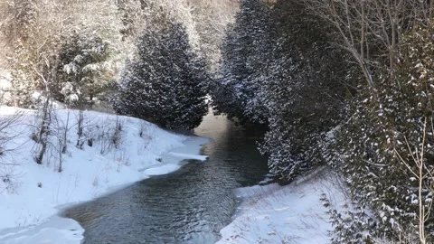 A Running River Cuts Through a Beautiful Forest Landscape in Winter Stock Footage 170839853