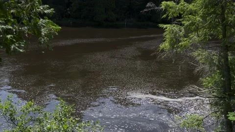 Running River downstream of a waterfall in northern Michigan Stockbeeldmateriaal 166116996