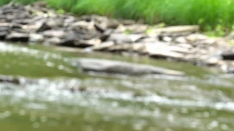 Running River Dutch Angle Shot in Woodstock New York Stock Footage 92594457