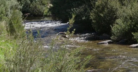 Running River Video stock 73489935