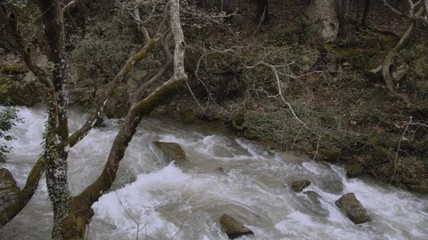 Running River Stock Footage 87712742