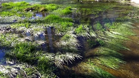 Running river Stock Footage 122349852