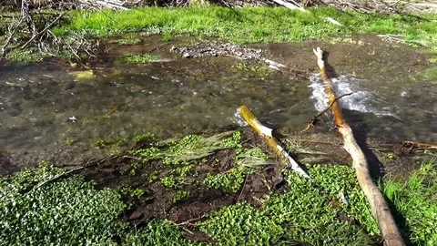 Running river Stock Footage 122352351
