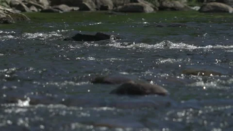 Running river Stock Footage 171341879