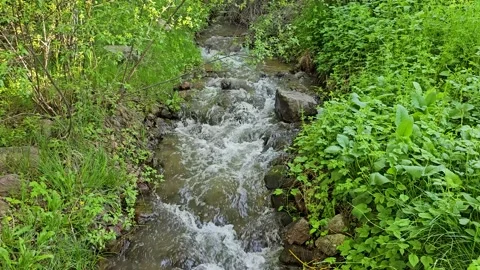 Running river Stock Footage 301001985