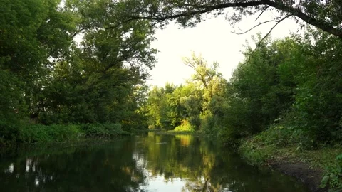 A running river surrounded by trees on both sides 스톡 동영상 159720406