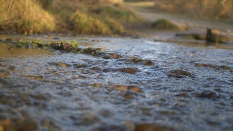 Running River Water 4k Close Up Stock Footage
