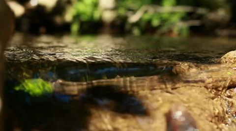Running River Water Video stock 11345832