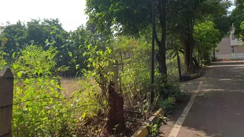 Running Road  (3) Stock Footage 295319098