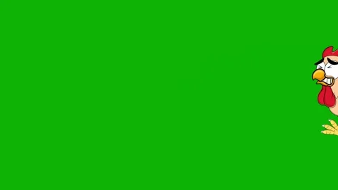 Running Rooster Animation on Green Screen – Funny Chicken Motion 库存影片 314919369