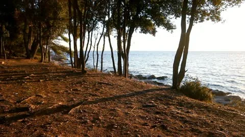 Running by the sea Stock Footage 12102489