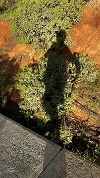 Running shadow. Stock Photos