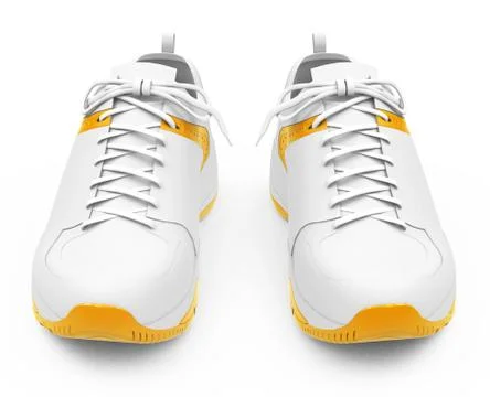 The running shoes Stock Illustration