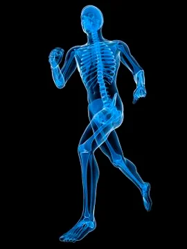 Running skeleton, artwork Stock Illustration