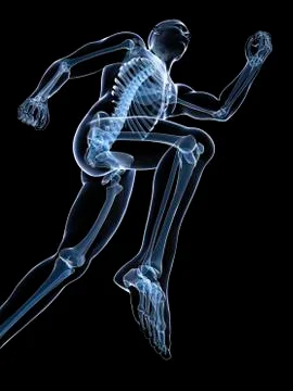 Running skeleton, artwork Stock Illustration