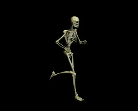 Running skeleton Stock Footage 835943