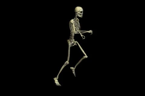 Running skeleton Stock Footage 835945