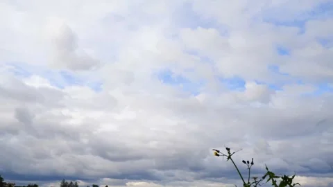 Running sky Stock Footage 264156452