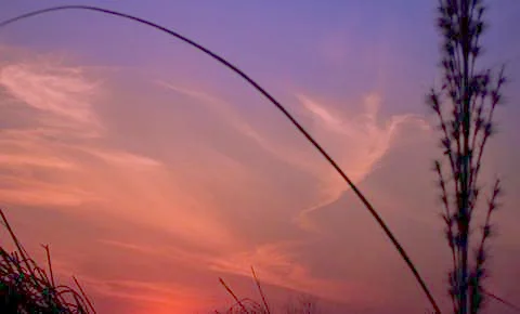 Running in the sky Stock-Fotos