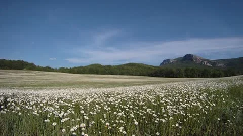 Running. Slow motion. Video stock 15735577