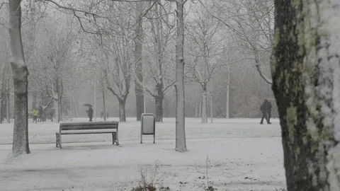 Running in the snow 스톡 동영상 83988218