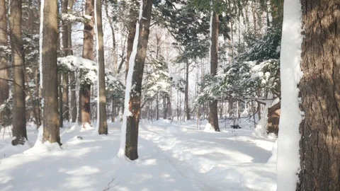 Running In The Snow Stockbeeldmateriaal 86887365