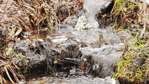 Running stream among grass with the sound of the sound of water Stock Footage 142136438