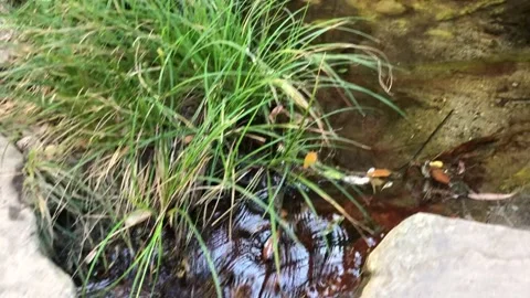 Running stream in the Amphitheater Stock Footage 152810078