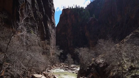 Running Stream in Canyon Video stock 127327697