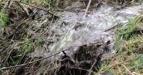 Running stream with clear water in the forest in the mountainous area in late 库存影片 170259274