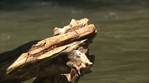 Running Stream Close Up Vídeos de archivo 35727544