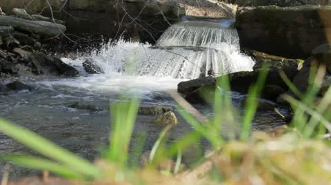 Running Stream Видео 22664752