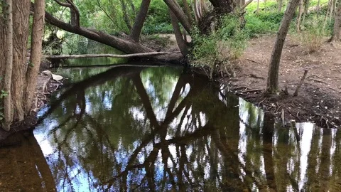 Running Stream Stock Footage 87059023